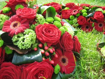 rote Rosen und Germini, Hypericum